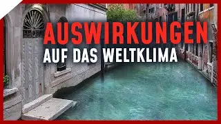 Rettet das Coronavirus unser Weltklima? | Breaking Lab