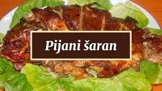 Pijani šaran