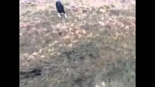 Bernie börjar balansera