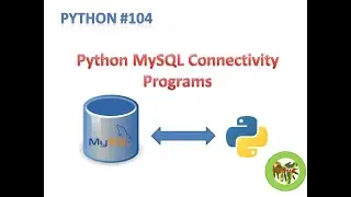 Python 