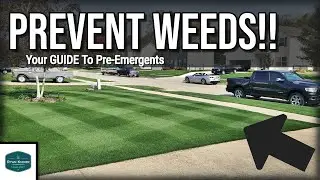 Your GUIDE To Pre Emergents // What They DO and DON'T Do For Your Lawn