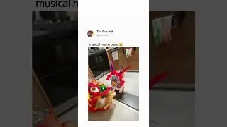 musical masterpiece 👏 #music #dog #funny