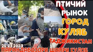 ПТИЧИЙ РЫНОК город КУЛЯБ ТАДЖИКИСТАН/ПАРАНДАБОЗОРИ ШАХРИ КӮЛОБ/BIRDS MARKET city KULOB TAJIKISTAN/