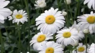 ЛЮБЛЮ И СКУЧАЮ