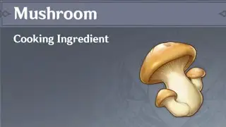 Mushroom Farming Location - Genshin Impact