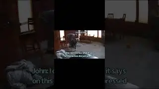 Funny Bunny the Talking Dog Video!
