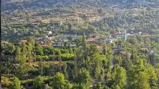 Sinanhoca köyü defne emekçilerinin zorlu yollardaki mücadeleleri