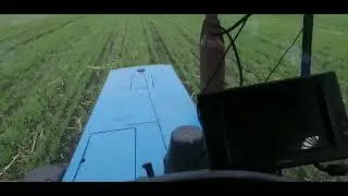 опытное поле ярового ячменя по трём предшественникам