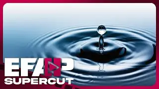 Is Water Wet? | EFAP Supercut
