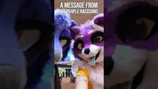 message from the purple raccoons (marsh and zee!) #anthrocon #furries #fursuiters #furryfandom