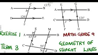 Mathematics Grade 9 Geometry of Straight Lines Exercise 1 Term 3 