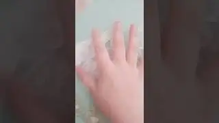 кисси съела гарохострела а другие убежали а этого зубастого она не стала кушать