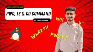PWD, LS & CD Commands