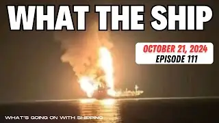 What The Ship (Ep111) | Russian LNG | CDC Inspections | Navy Reloads | Dock Collapse | LPG Explosion