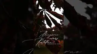 Rainy days Buongiorno Rastellino Font Cyrillic #шрифт #short #shortvideo #Shorts #cozy #autumn #font