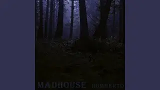 Madhouse