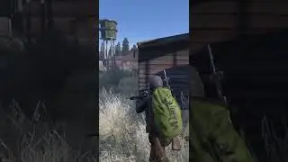 Помешал жарить мясо в DayZ  #приколы #dayz #dayzstandalone #survival #gaming #namalsk #выживалово