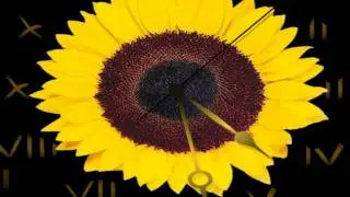 COTTAGE (YOU SWEEP AWAY MY SORROW) - WARREN HARRIS (Hanna)