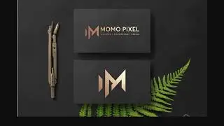 Professional Logo Designer and Branding Expert to Hire on Upwork