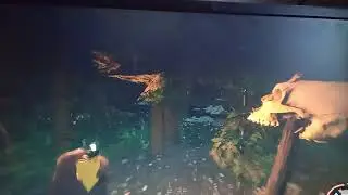 THE FOREST 3