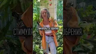 СТИМУЛЯТОРЫ И УДОБРЕНИЯ / больше пользы в моем тг t.me/spottykit