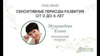 Сенситивные периоды развития ребенка от 0 до 6 лет