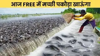 मछुआरों की हुई मौज, मछलियां खुद घर तक आई तैरके