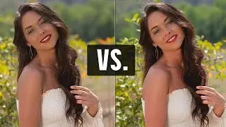 Real vs. Fake Photo Background