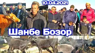 Мол Бозор Шахри Турсунзода / Шанбе Бозор Букахои Калони Майда 