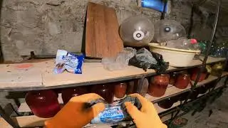 Травля крыс отрава