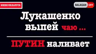 Лукашенко выпей чаю - Путин наливает | Беларусь сегодня