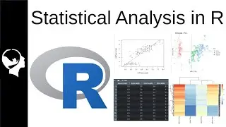 Running Basic Statistical Analysis in R