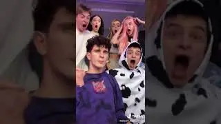 Дэбилы