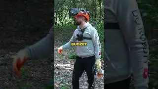 10 000 zł za wycięcie jednego drzewa?