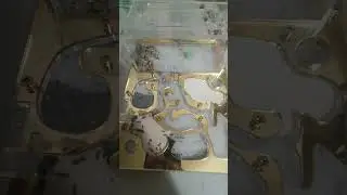 муравьи. дала попить