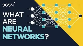 What are Neural Networks?
