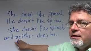 using either and neither