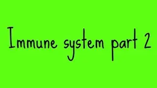 Immune system part 2!