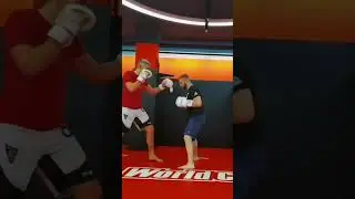 ТАКТИКА для высоких боксеров