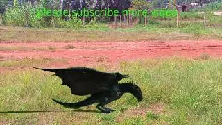 make dragon with green screen
