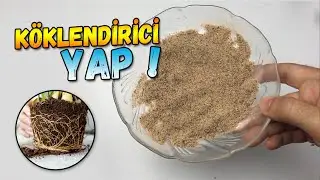 Rooting Powder Making | Powder - Liquid Fertilizer