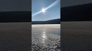 Ледяные цветы