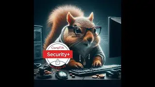 Unskilled Attacker Squirrel studies Security+ SY0-701 Domain 4: Security Operations