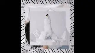 洪佩瑜 Pei-Yu Hung - LET IT BLEED (Official Audio)