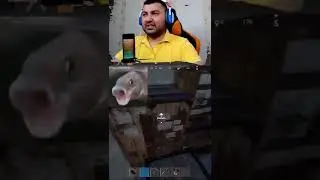 FEZOT TOG'A JINNI BO'LAYOZDI 
