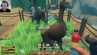 Raft Singelplayer part24
