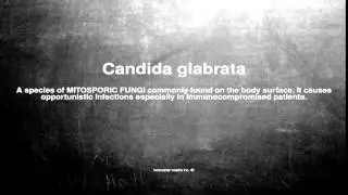 Medical vocabulary: What does Candida glabrata mean