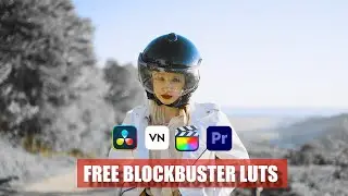 Elevate Your Videos with 20 FREE BLOCKBUSTER LUTS in Adobe Premiere Pro