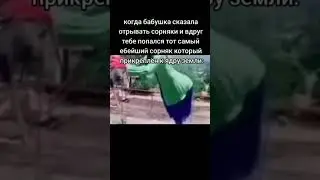 Баян с картошкой #мем #shortvideos #memes #мемы #приколы #каша #hoi4 #гитлер