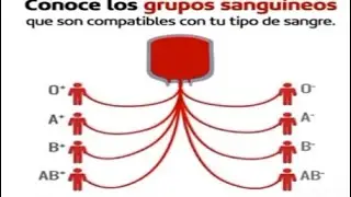 CONHEÇA OS GRUPOS SANGUÍNEOS QUE SÃO COMPATÍVEIS COM O SEU TÍPO - Uma Animação!